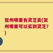 贺州哪里有灵芝卖(贺州哪里可以买到灵芝？)