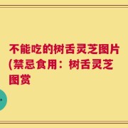 不能吃的树舌灵芝图片(禁忌食用：树舌灵芝图赏