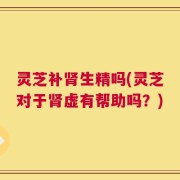灵芝补肾生精吗(灵芝对于肾虚有帮助吗？)