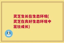 灵芝生长在生态环境(灵芝在良好生态环境中茁壮成长)