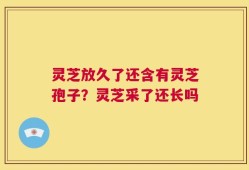 灵芝放久了还含有灵芝孢子？灵芝采了还长吗