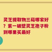 灵芝提取物三萜哪家好？紫一破壁灵芝孢子粉到哪里买最好