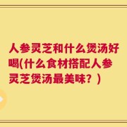 人参灵芝和什么煲汤好喝(什么食材搭配人参灵芝煲汤最美味？)