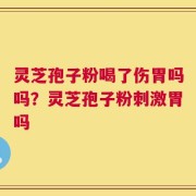 灵芝孢子粉喝了伤胃吗吗？灵芝孢子粉刺激胃吗