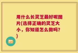 用什么长灵芝最好呢图片(选择正确的灵芝大小，你知道怎么做吗？)