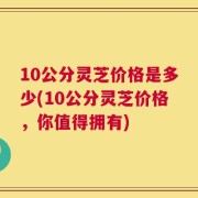 10公分灵芝价格是多少(10公分灵芝价格，你值得拥有)