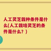 人工灵芝栽种条件是什么(人工栽培灵芝的条件是什么？)
