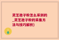 灵芝孢子粉怎么采到的_灵芝孢子粉的采集方法与技巧解析)