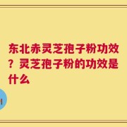 东北赤灵芝孢子粉功效？灵芝孢子粉的功效是什么