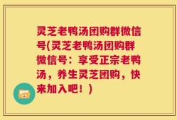 灵芝老鸭汤团购群微信号(灵芝老鸭汤团购群微信号：享受正宗老鸭汤，养生灵芝团购，快来加入吧！)