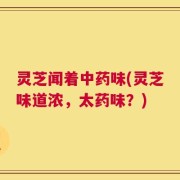 灵芝闻着中药味(灵芝味道浓，太药味？)
