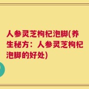 人参灵芝枸杞泡脚(养生秘方：人参灵芝枸杞泡脚的好处)