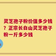 灵芝孢子粉价值多少钱？正宗长白山灵芝孢子粉一斤多少钱