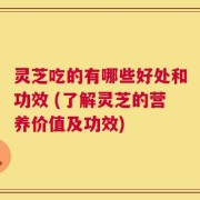灵芝吃的有哪些好处和功效 (了解灵芝的营养价值及功效)