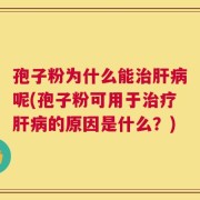 孢子粉为什么能治肝病呢(孢子粉可用于治疗肝病的原因是什么？)