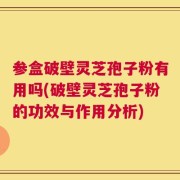 参盒破壁灵芝孢子粉有用吗(破壁灵芝孢子粉的功效与作用分析)