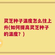 灵芝种子温度怎么往上升(如何提高灵芝种子的温度？)