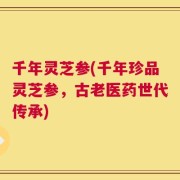 千年灵芝参(千年珍品灵芝参，古老医药世代传承)