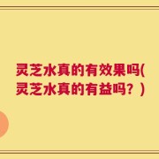 灵芝水真的有效果吗(灵芝水真的有益吗？)
