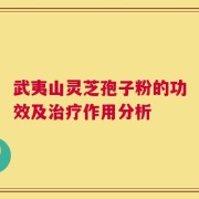 武夷山灵芝孢子粉的功效及治疗作用分析