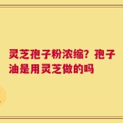 灵芝孢子粉浓缩？孢子油是用灵芝做的吗