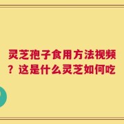 灵芝孢子食用方法视频？这是什么灵芝如何吃