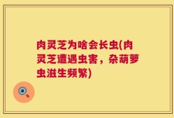 肉灵芝为啥会长虫(肉灵芝遭遇虫害，杂葫萝虫滋生频繁)