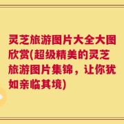 灵芝旅游图片大全大图欣赏(超级精美的灵芝旅游图片集锦，让你犹如亲临其境)