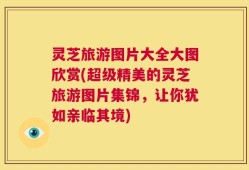 灵芝旅游图片大全大图欣赏(超级精美的灵芝旅游图片集锦，让你犹如亲临其境)