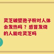 灵芝破壁孢子粉对人体会发热吗 ？感冒发烧的人能吃灵芝吗