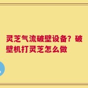 灵芝气流破壁设备？破壁机打灵芝怎么做