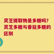 灵芝提取物是多糖吗？灵芝多糖与香菇多糖的区别