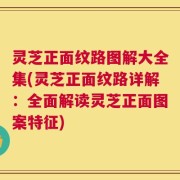 灵芝正面纹路图解大全集(灵芝正面纹路详解：全面解读灵芝正面图案特征)