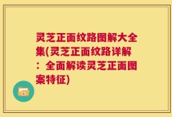 灵芝正面纹路图解大全集(灵芝正面纹路详解：全面解读灵芝正面图案特征)
