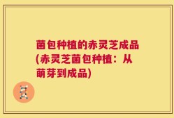 菌包种植的赤灵芝成品(赤灵芝菌包种植：从萌芽到成品)