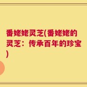 番姥姥灵芝(番姥姥的灵芝：传承百年的珍宝)