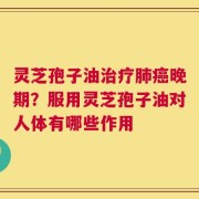 灵芝孢子油治疗肺癌晚期？服用灵芝孢子油对人体有哪些作用