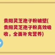 贵阳灵芝孢子粉破壁(贵阳灵芝孢子粉高效吸收，全面补充营养)