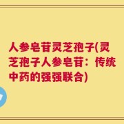人参皂苷灵芝孢子(灵芝孢子人参皂苷：传统中药的强强联合)