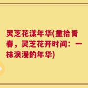 灵芝花漾年华(重拾青春，灵芝花开时间：一抹浪漫的年华)