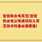 宝安民水电灵芝(宝安民水电公司成功引入灵芝技术改善水源质量)