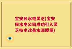 宝安民水电灵芝(宝安民水电公司成功引入灵芝技术改善水源质量)