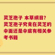 灵芝孢子 本草纲目？灵芝孢子究竟在灵芝的伞面还是伞底有相关参考书籍