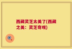 西藏灵芝太美了(西藏之美：灵芝奇观)