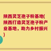 陕西灵芝孢子粉基地(陕西打造灵芝孢子粉产业基地，助力乡村振兴)