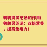 鹌鹑煲灵芝汤的作用(鹌鹑灵芝汤：双倍营养，提高免疫力)