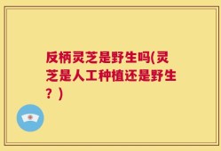 反柄灵芝是野生吗(灵芝是人工种植还是野生？)