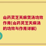 山药灵芝天麻煲汤功效作用(山药灵芝天麻汤的功效与作用详解)