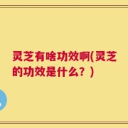 灵芝有啥功效啊(灵芝的功效是什么？)