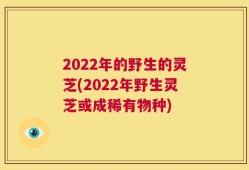 2022年的野生的灵芝(2022年野生灵芝或成稀有物种)